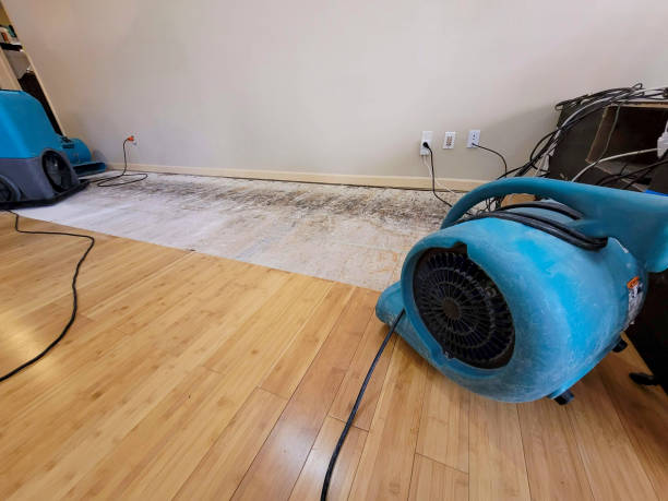 Professional Basement Flood Cleanup technician working in Kanawha Falls, WV